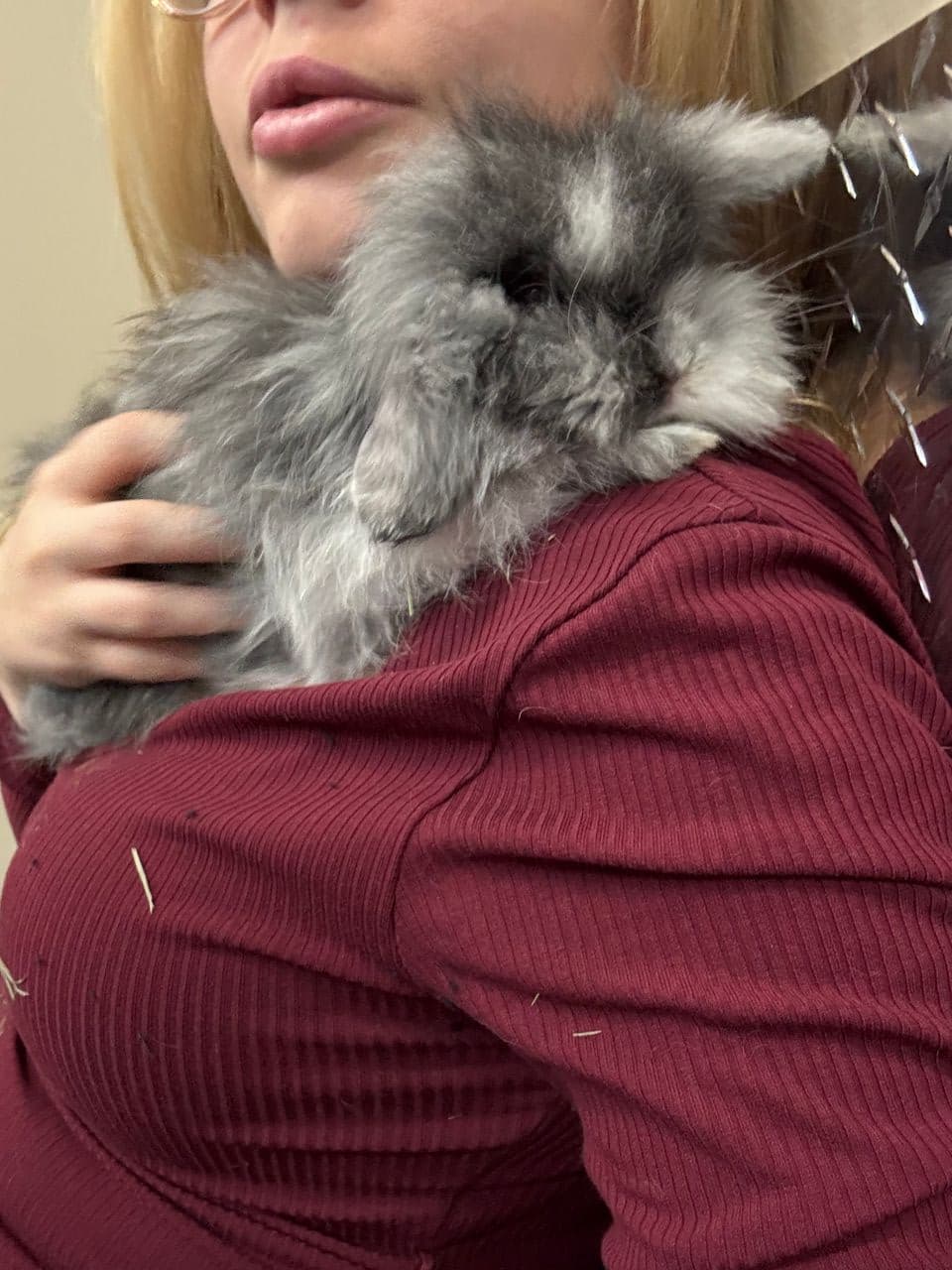 Pet travel photo 3