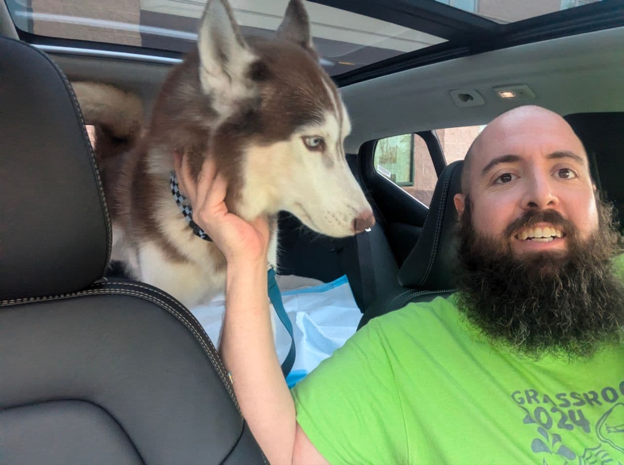 Pet travel photo 3