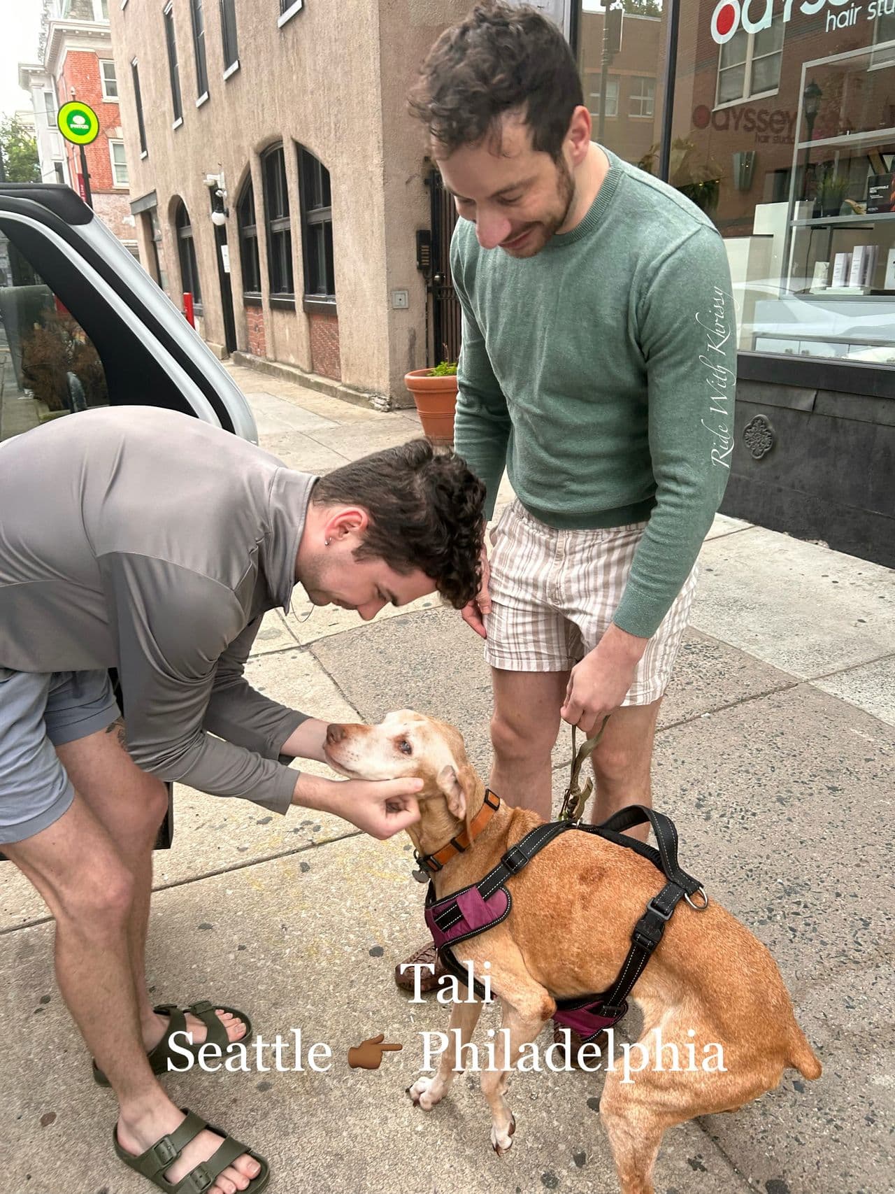 Pet travel photo 1