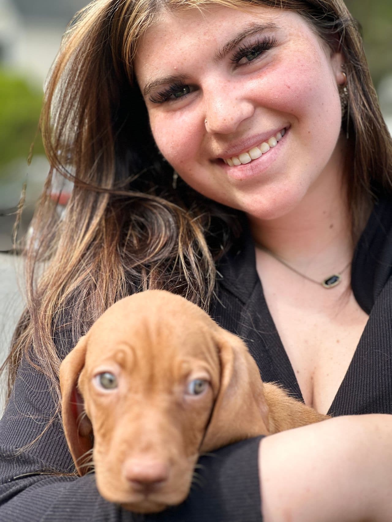Pet travel photo 2