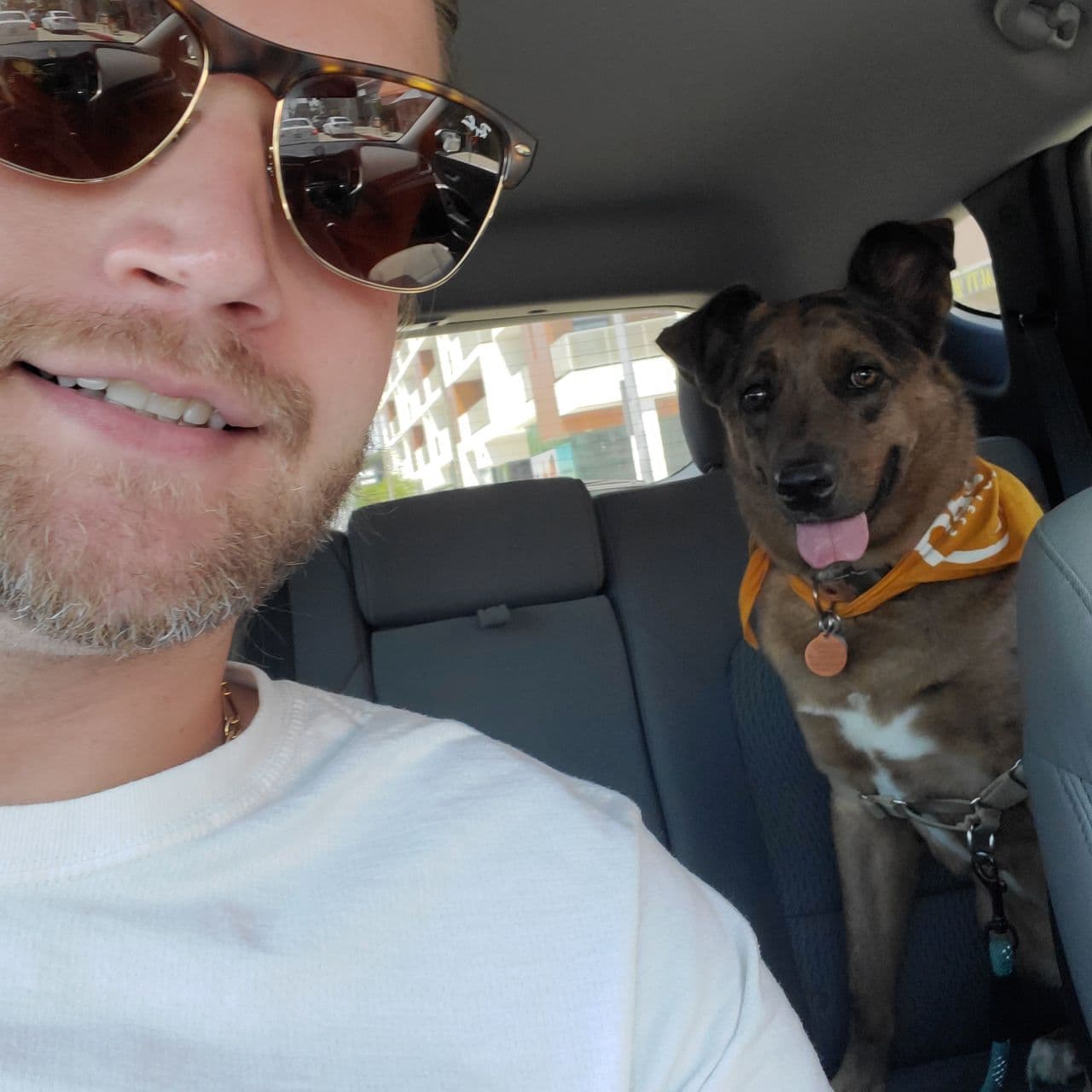 Tailwind Pet Transportation, LLC