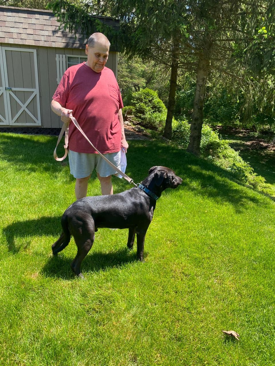 Pet travel photo 1
