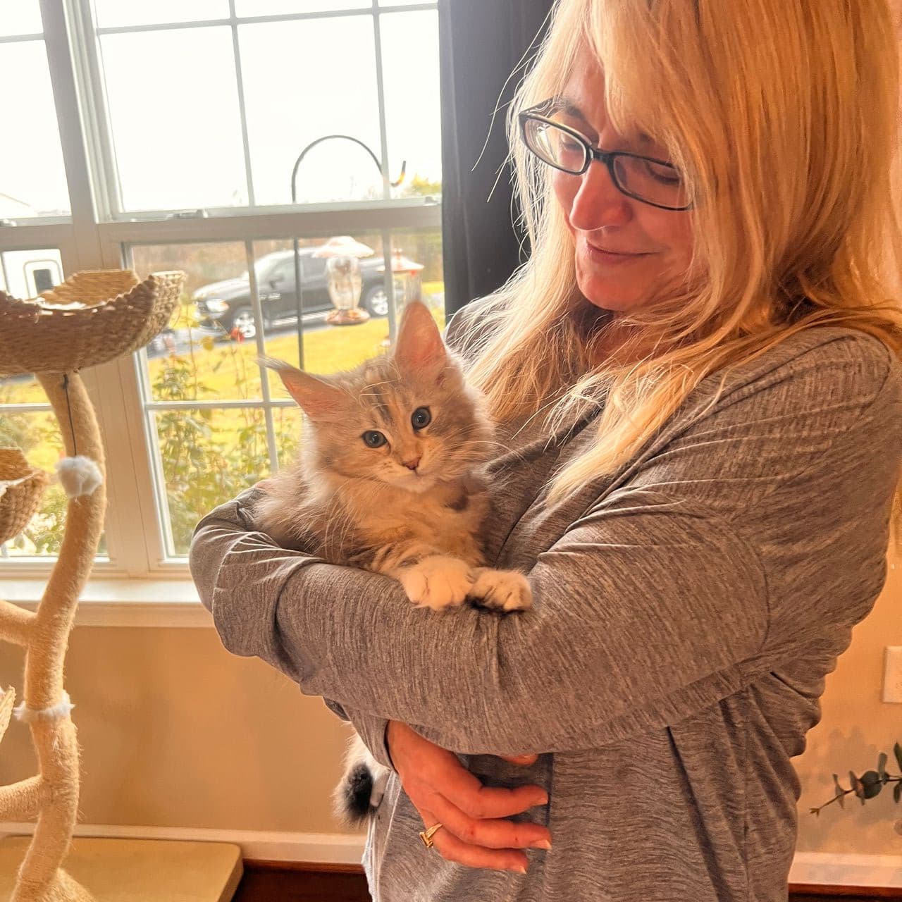 Pet travel photo 2