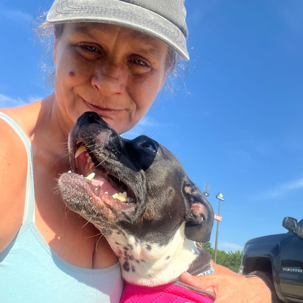 Pet travel photo 1