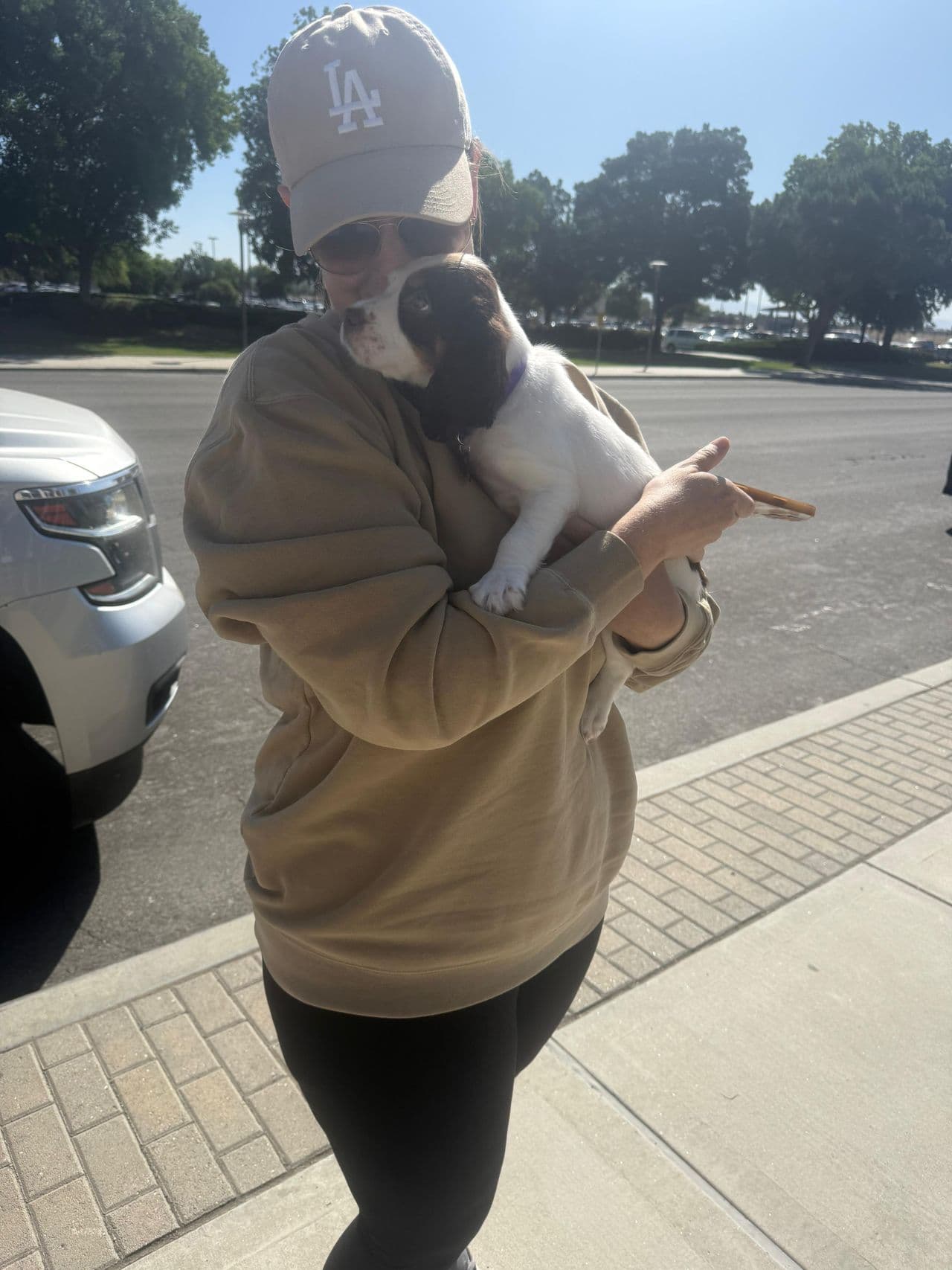 Pet travel photo 2