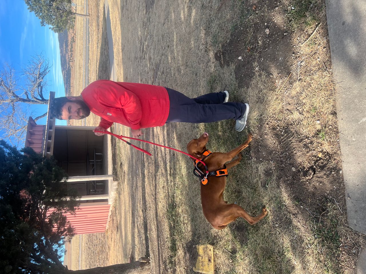 Pet travel photo 1