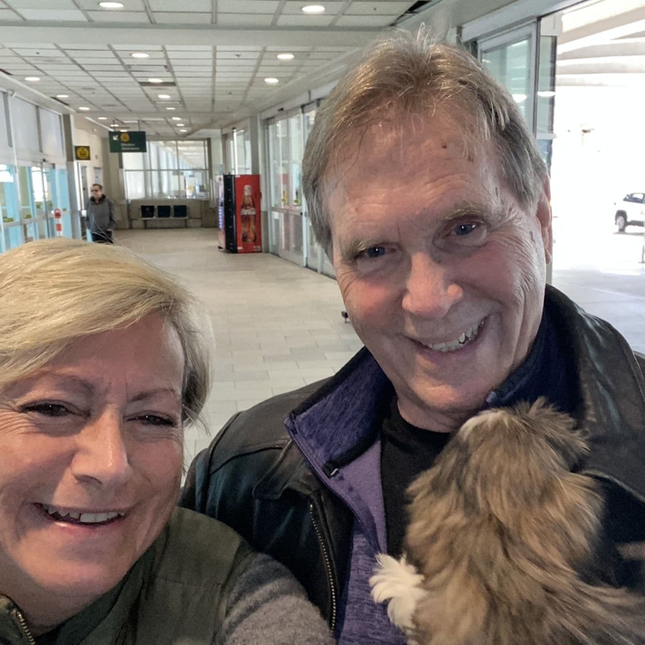 Pet travel photo 6