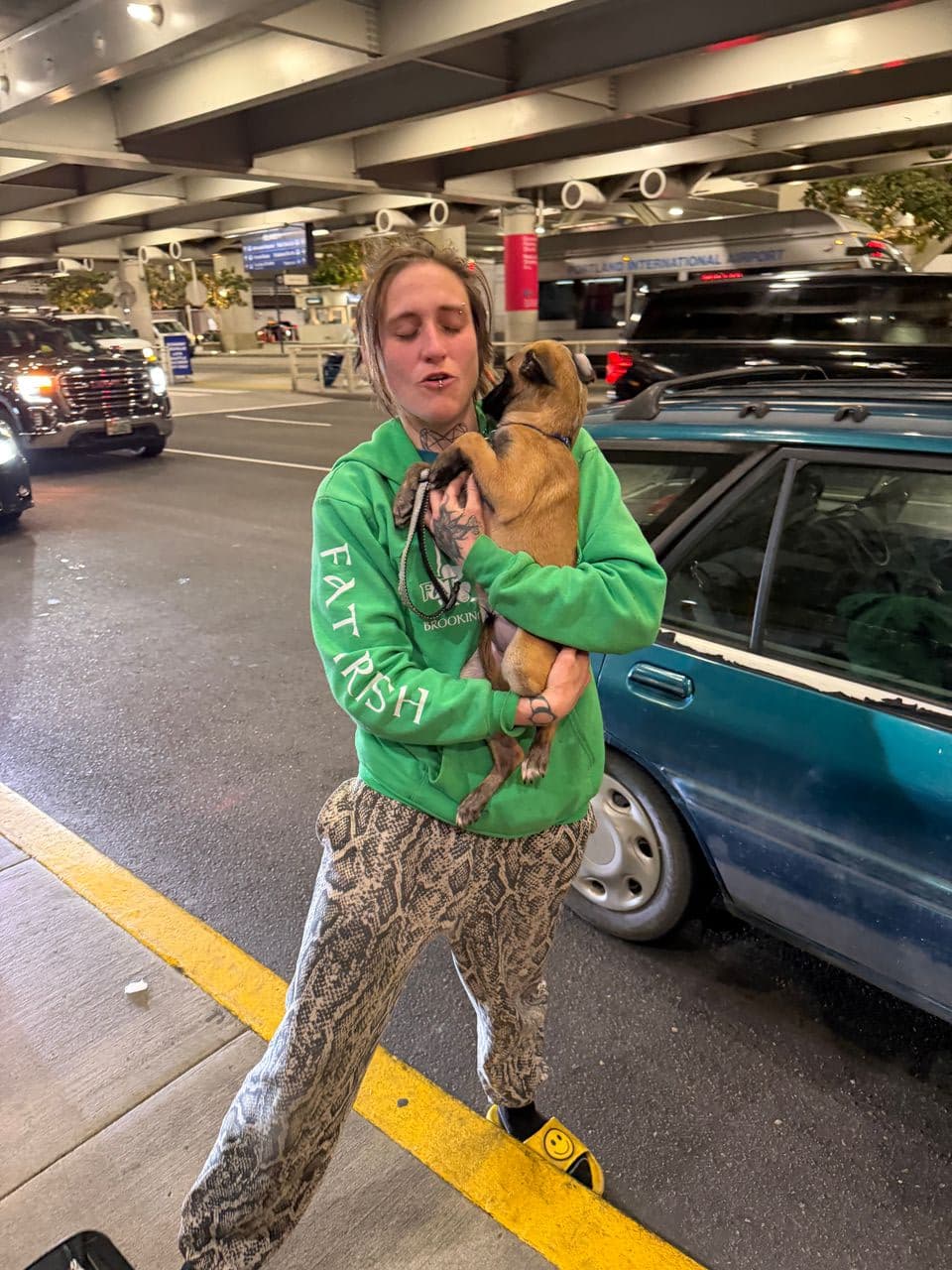 Pet travel photo 3