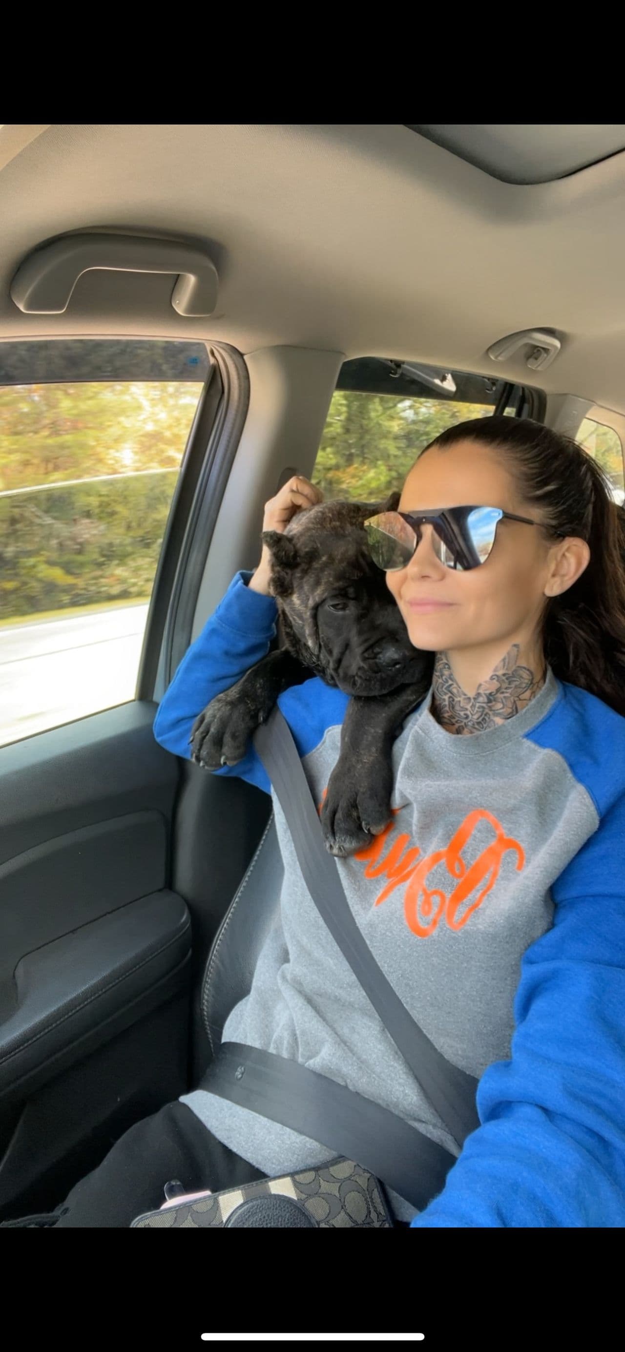 Pet travel photo 5