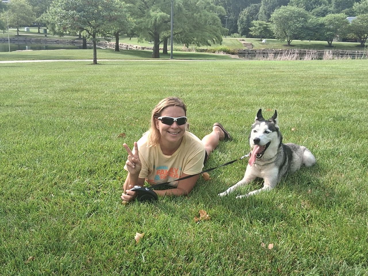 Pet travel photo 4