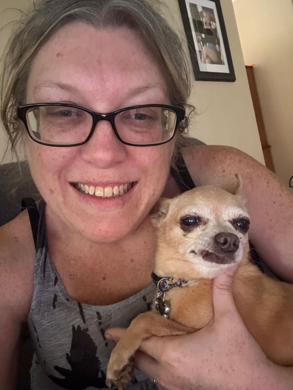 Pet travel photo 5