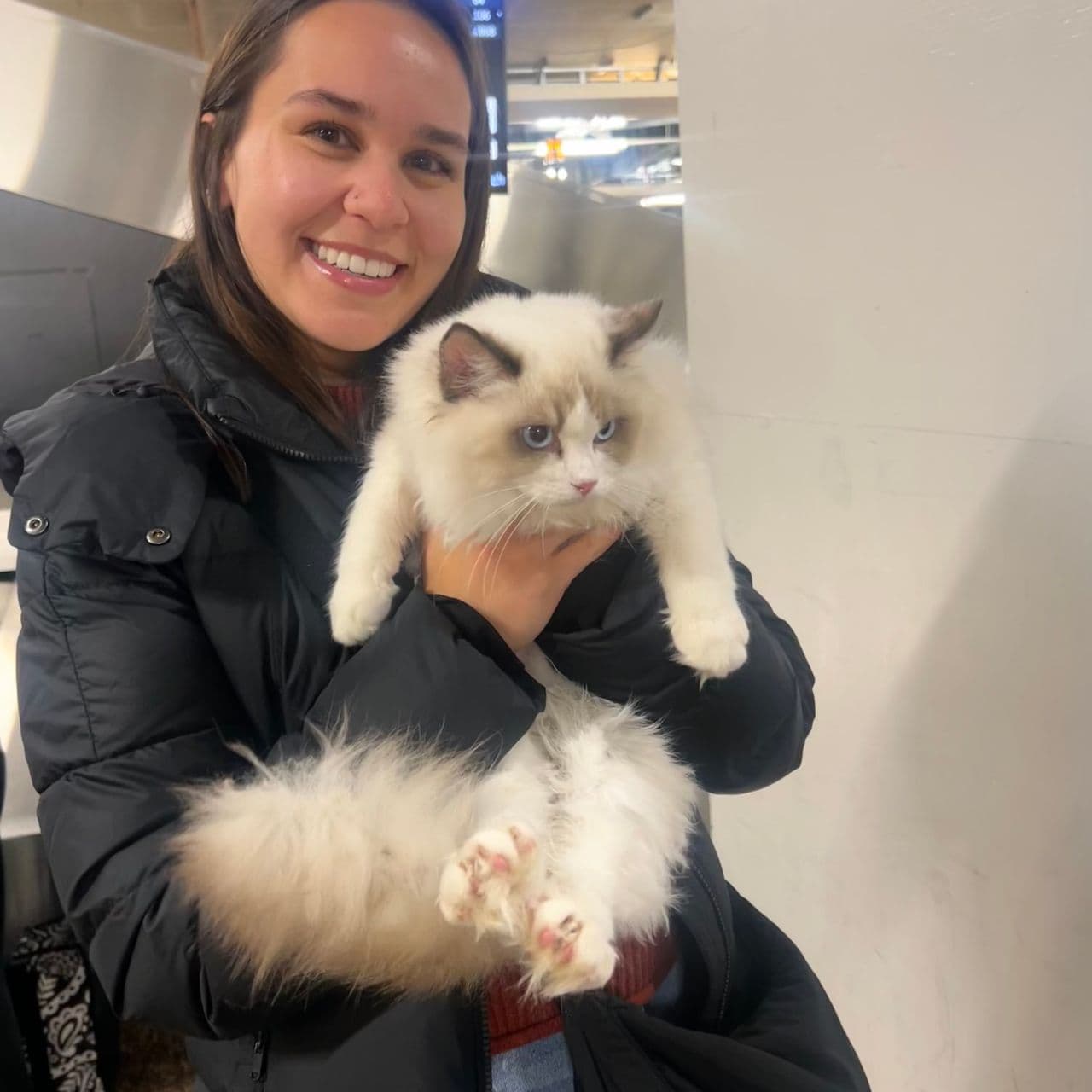 Pet travel photo 4