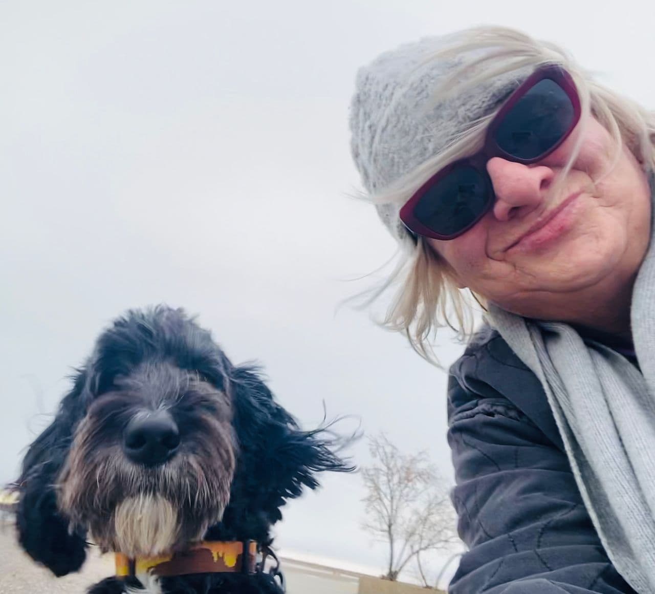 Pet travel photo 2
