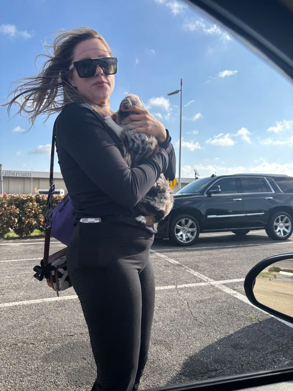 Pet travel photo 4