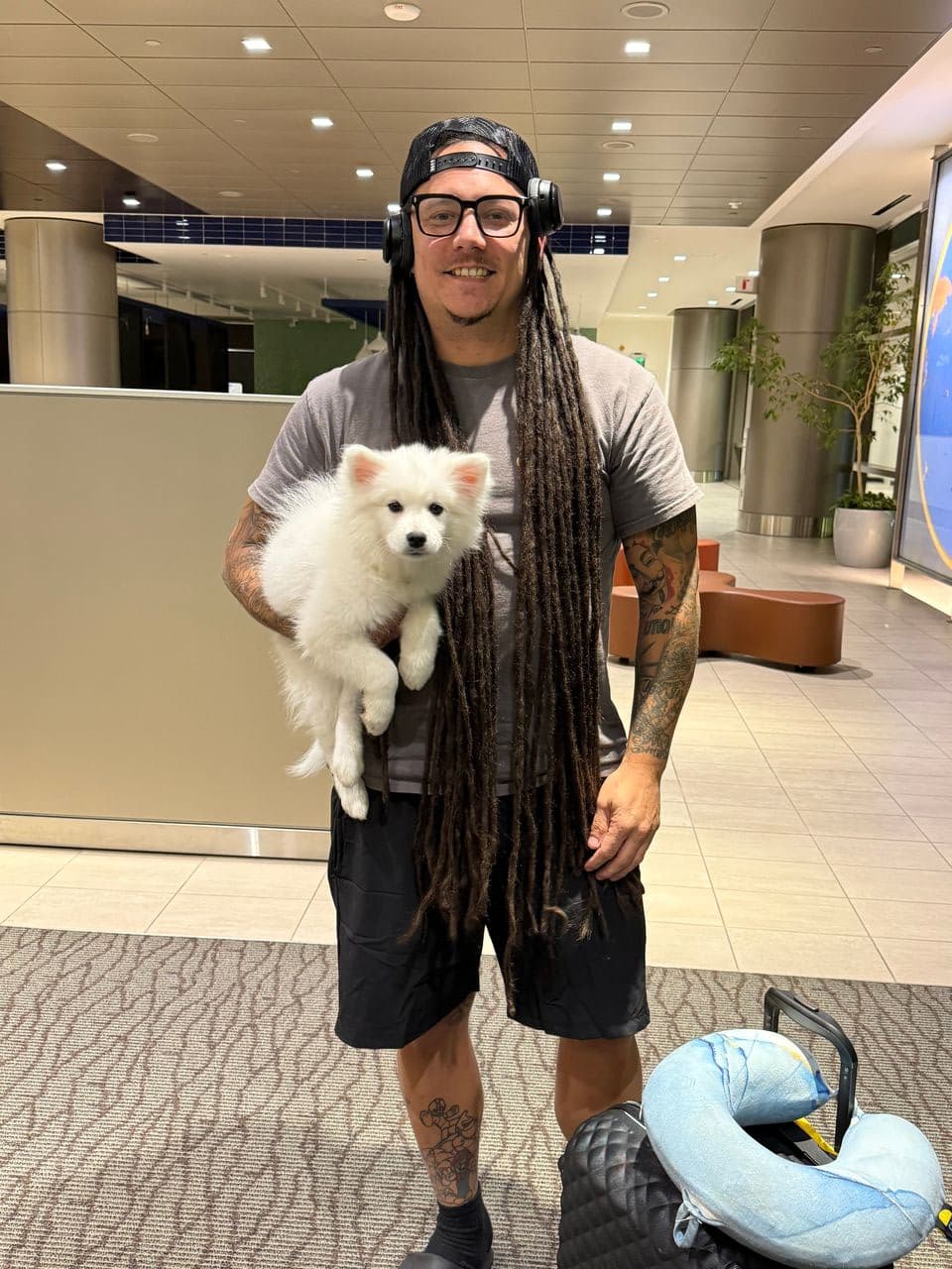 Pet travel photo 3