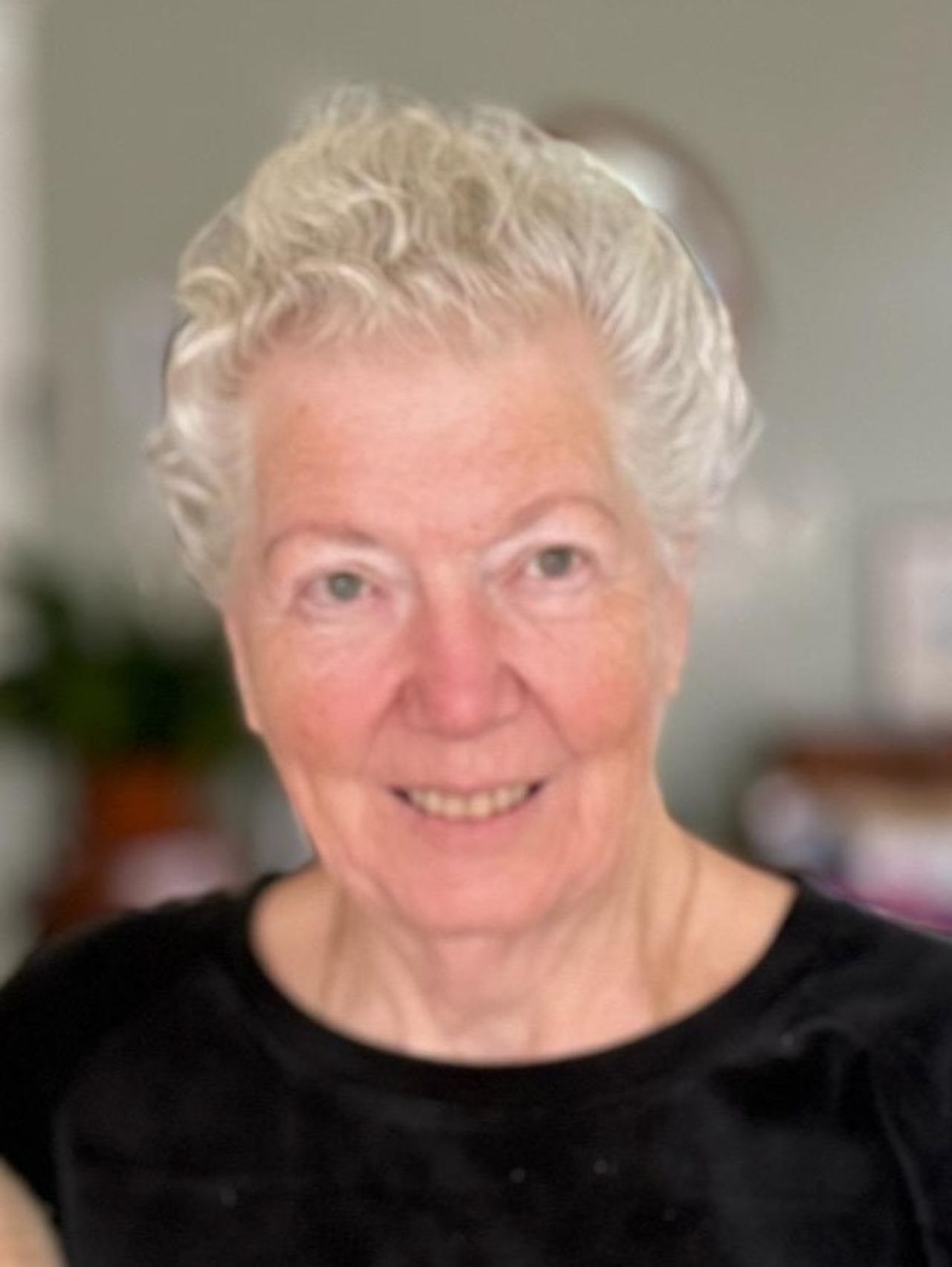 Nomadic Services profile photo