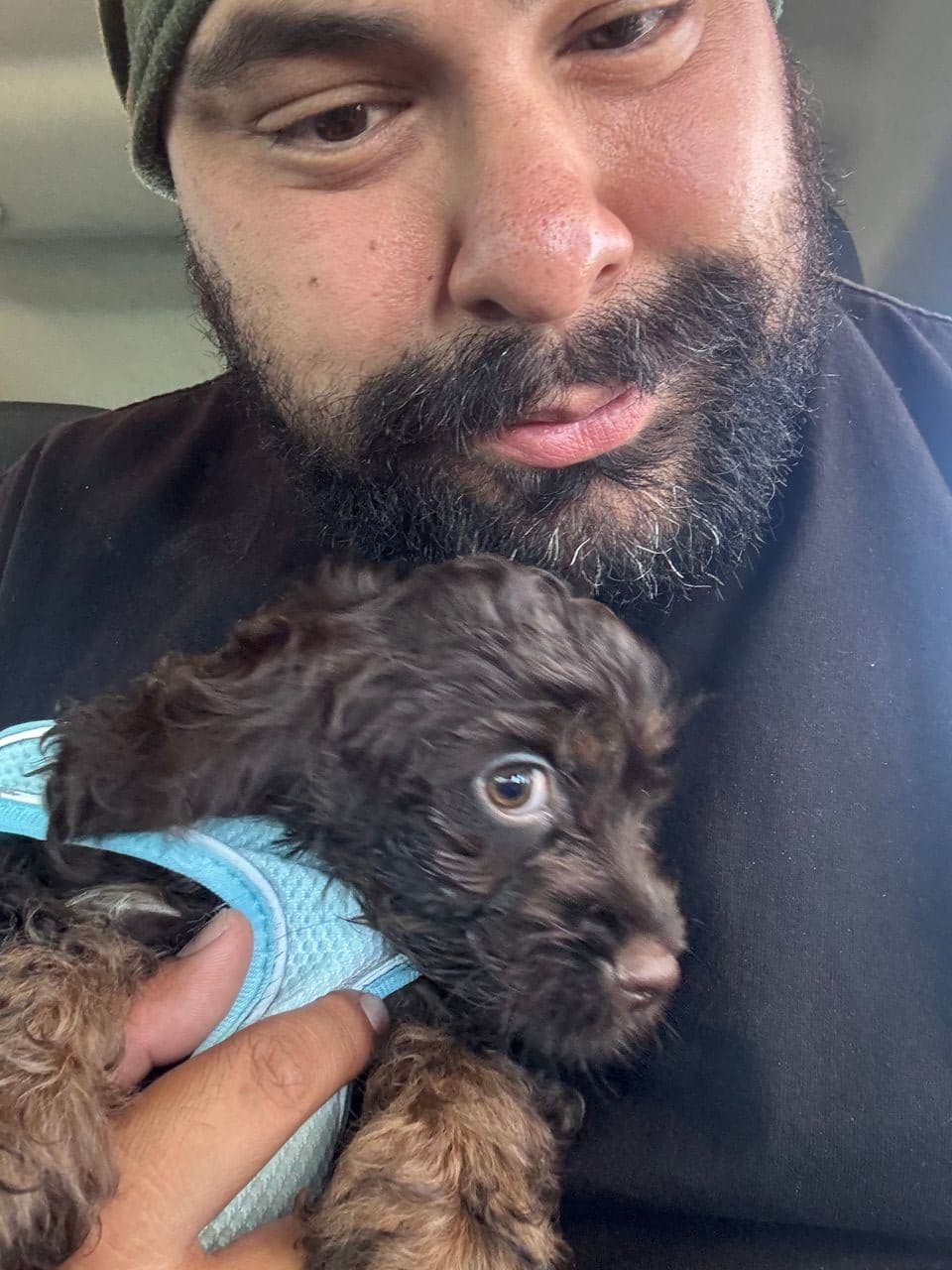 Pet travel photo 6