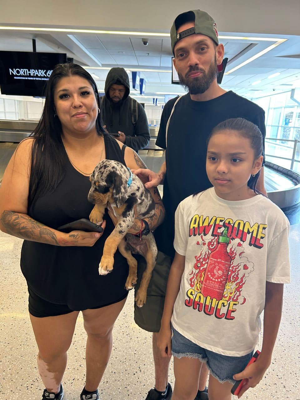 Pet travel photo 4