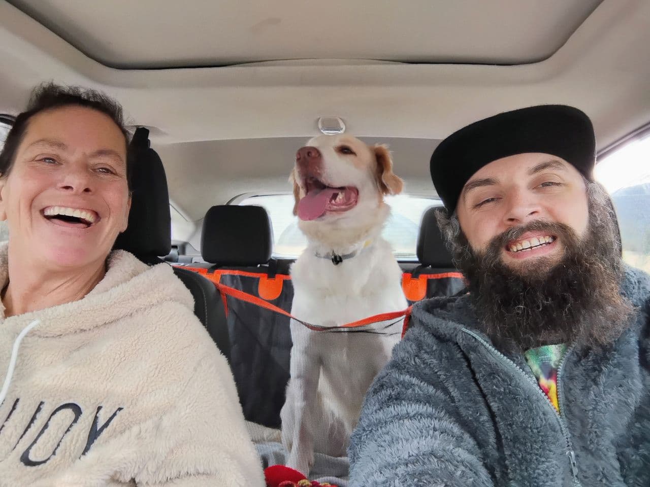Pet travel photo 5