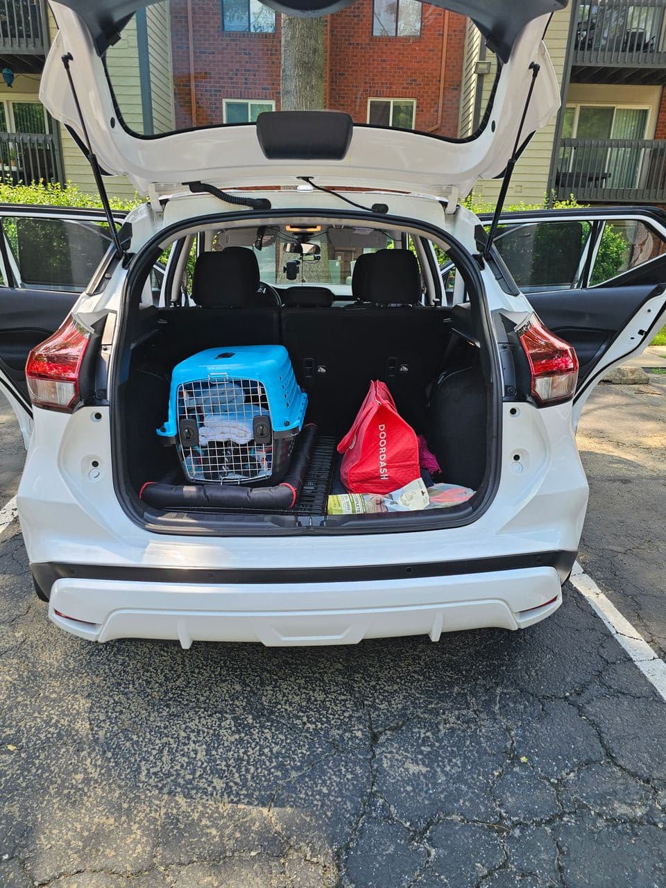 Pet travel photo 5