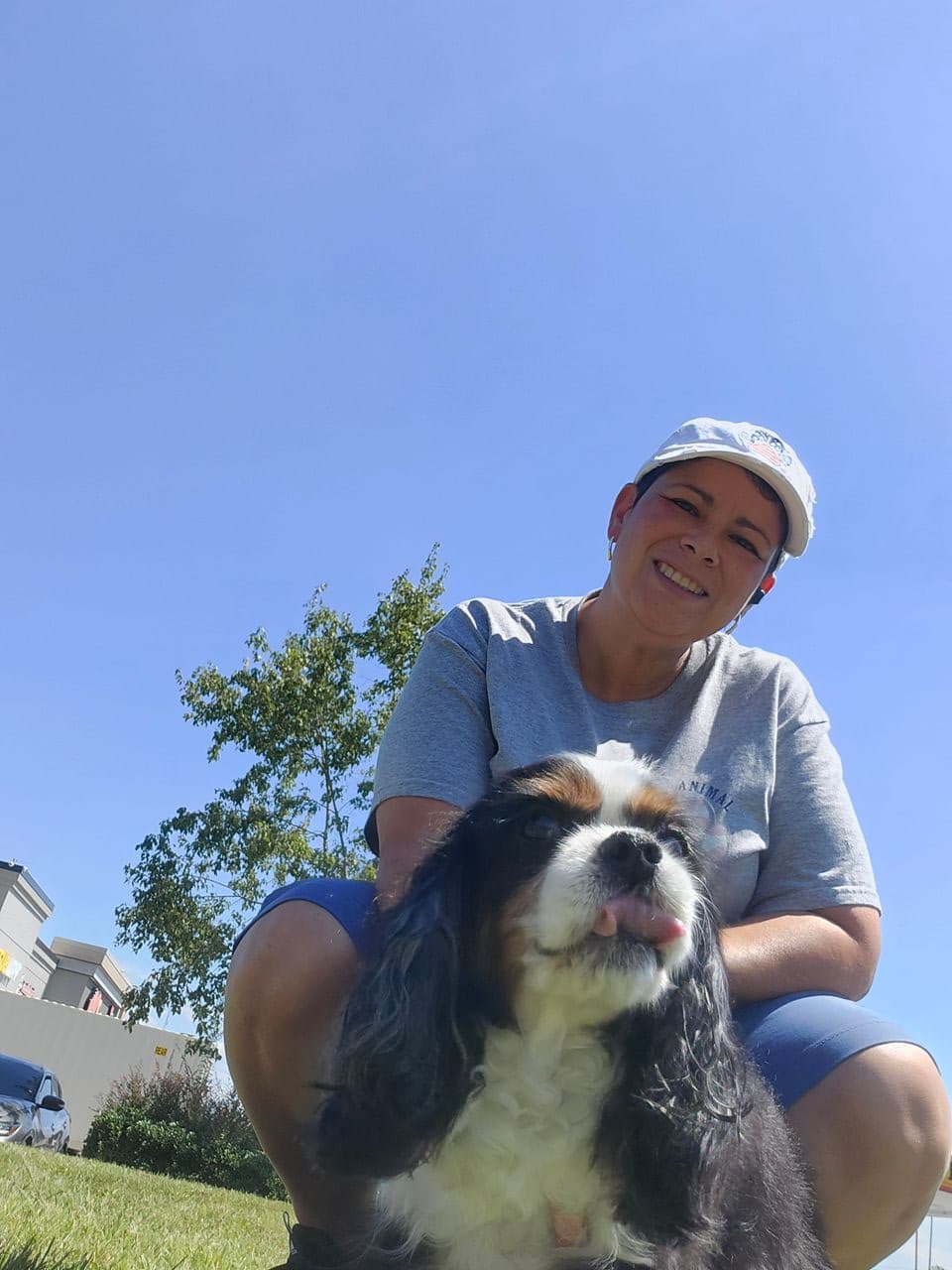 Pet travel photo 3