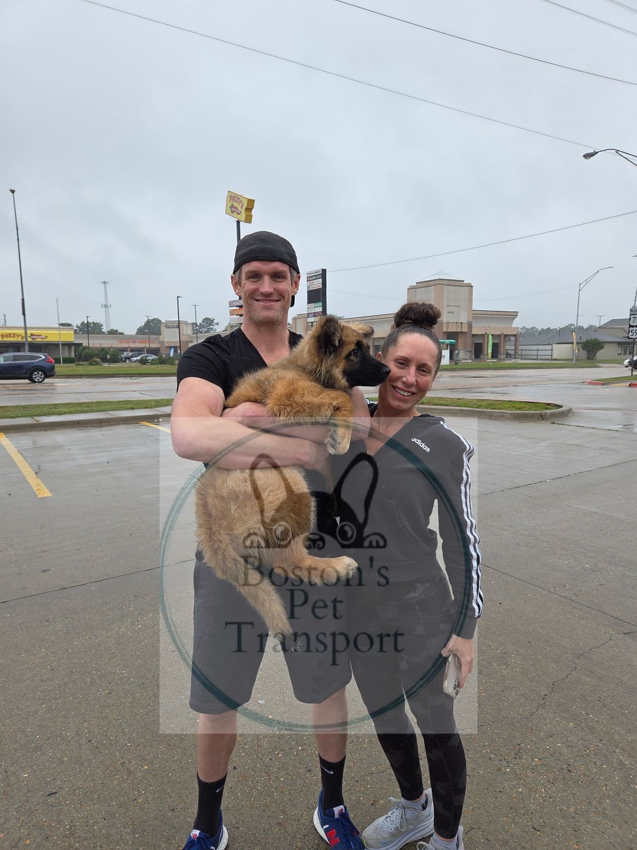 Pet travel photo 2