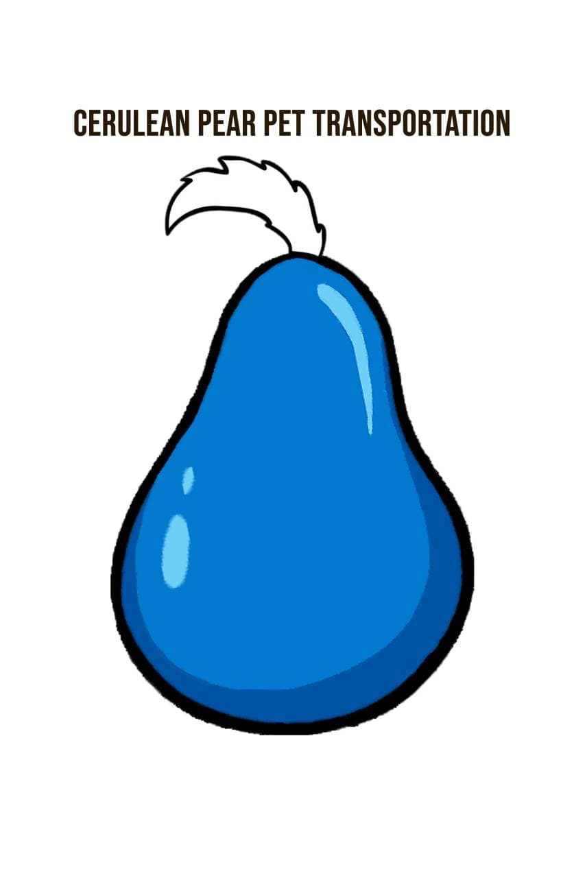 Cerulean Pear Pet Transportation