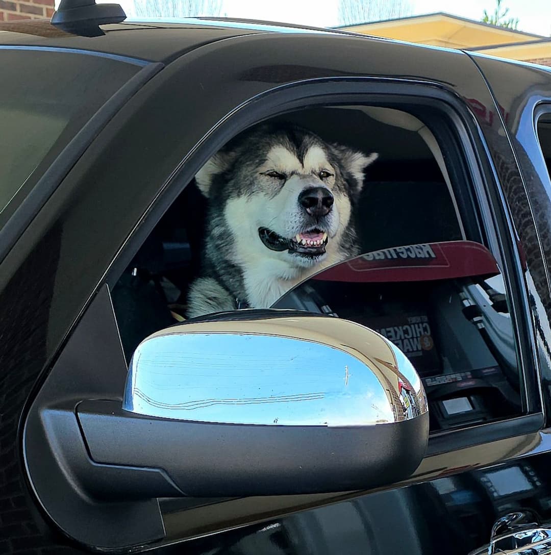 Big Dog Logistics Group, LLC