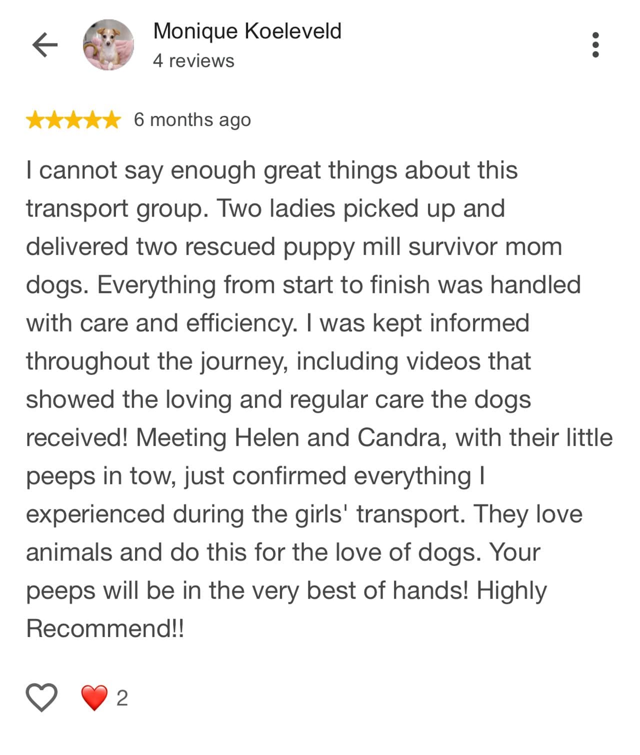 Pet travel photo 4