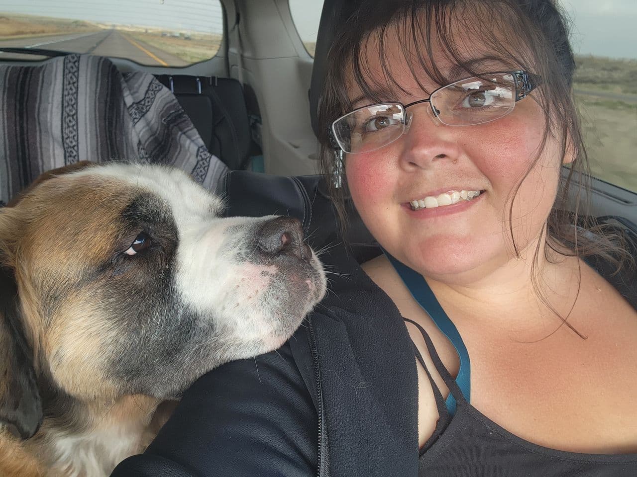 Pet travel photo 3