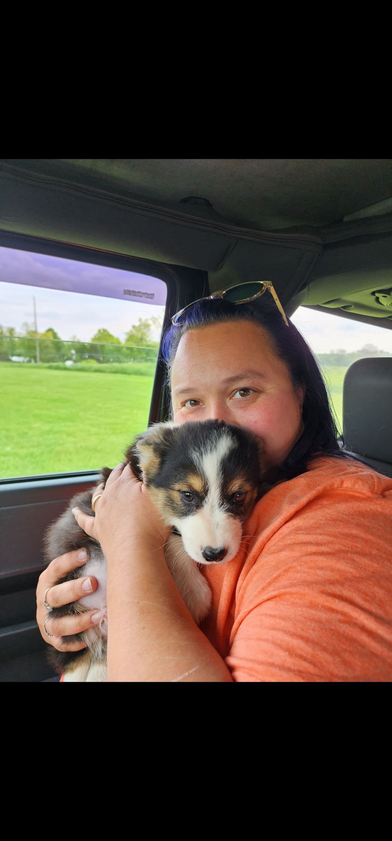 Pet travel photo 2