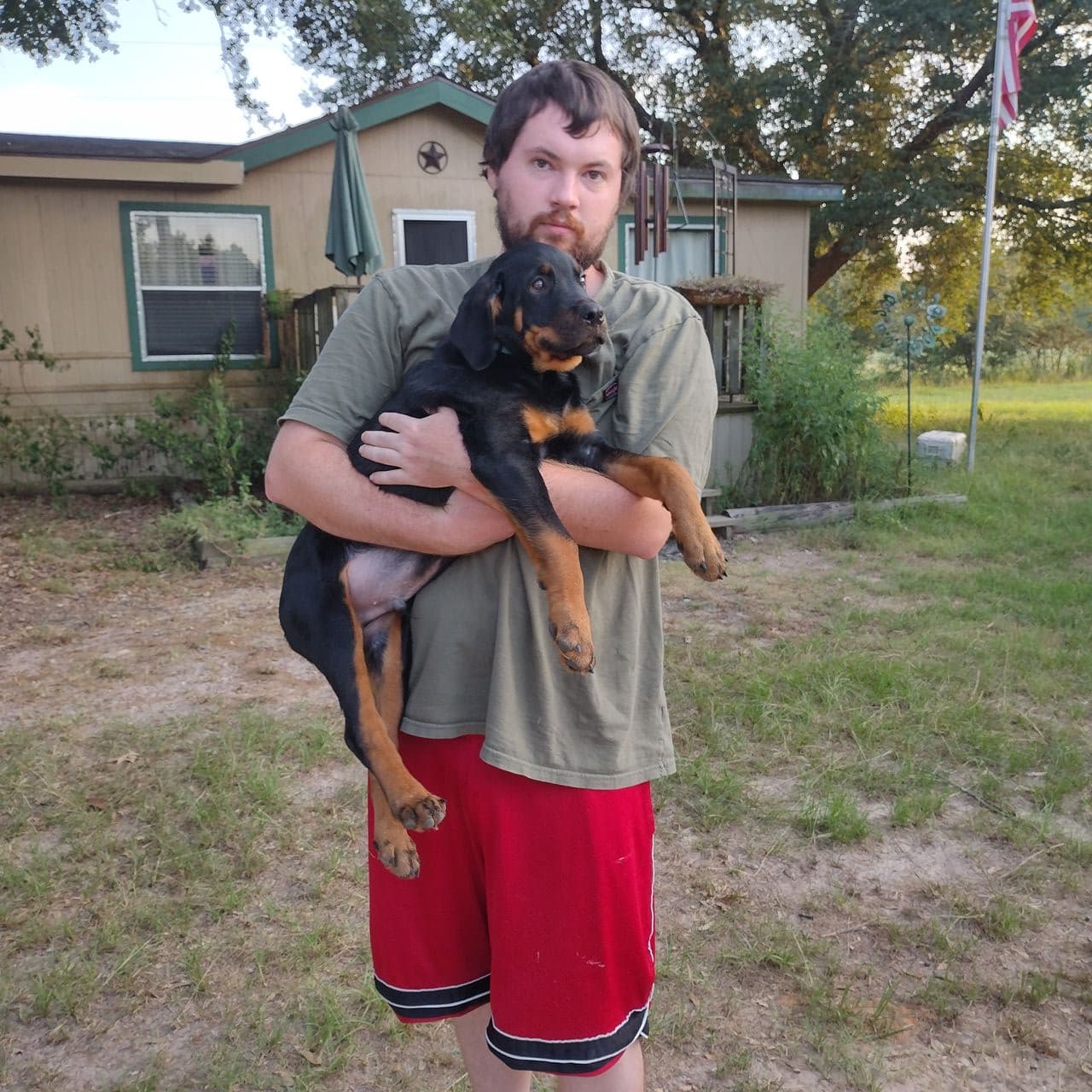 Pet travel photo 4