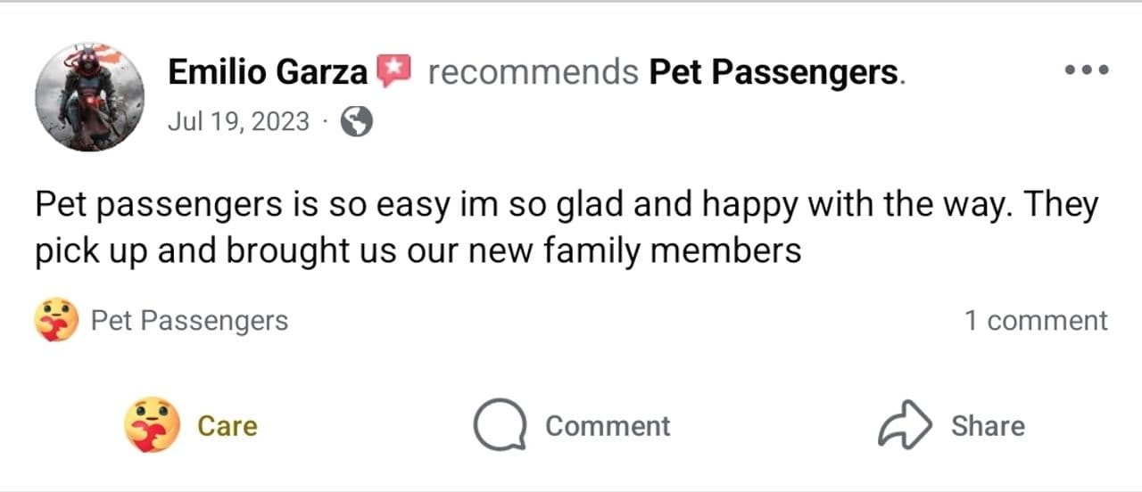 Pet travel photo 3