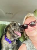 Treasured Transports profile photo