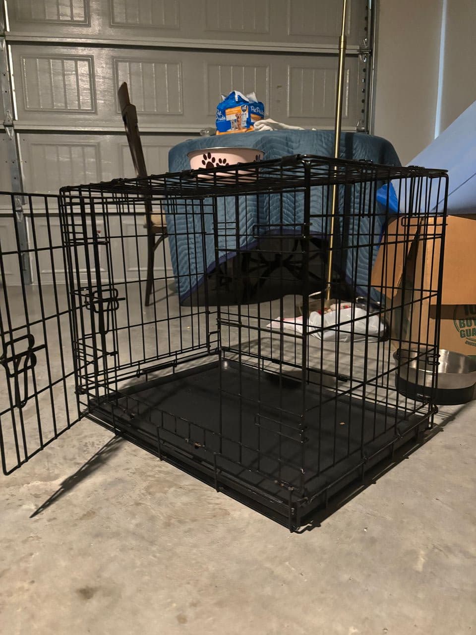Pet travel photo 5
