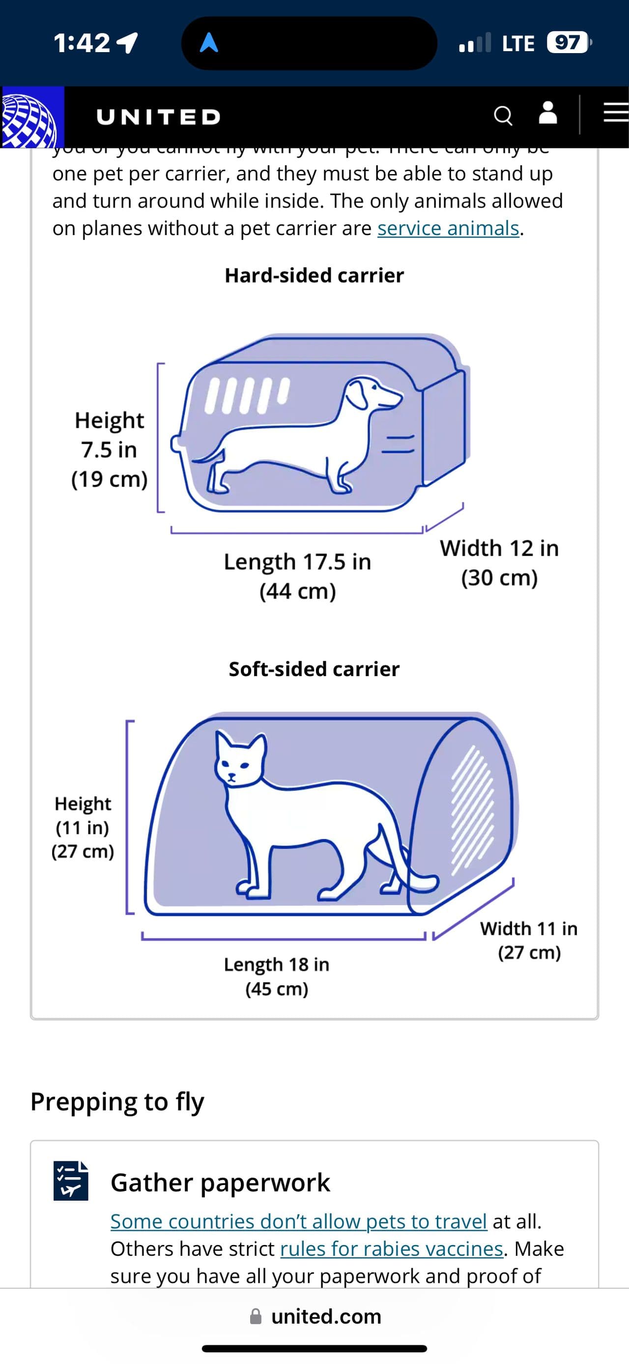 Pet travel photo 6