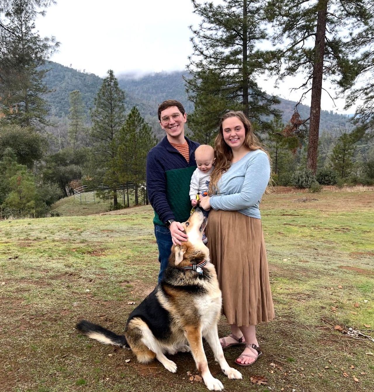 Pet travel photo 1