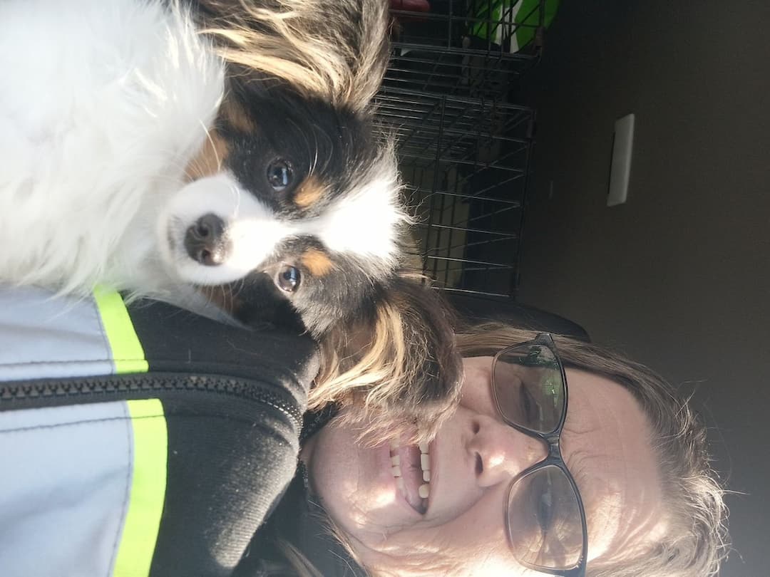 Miss B's loving pet transport