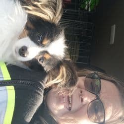 Miss B's loving pet transport