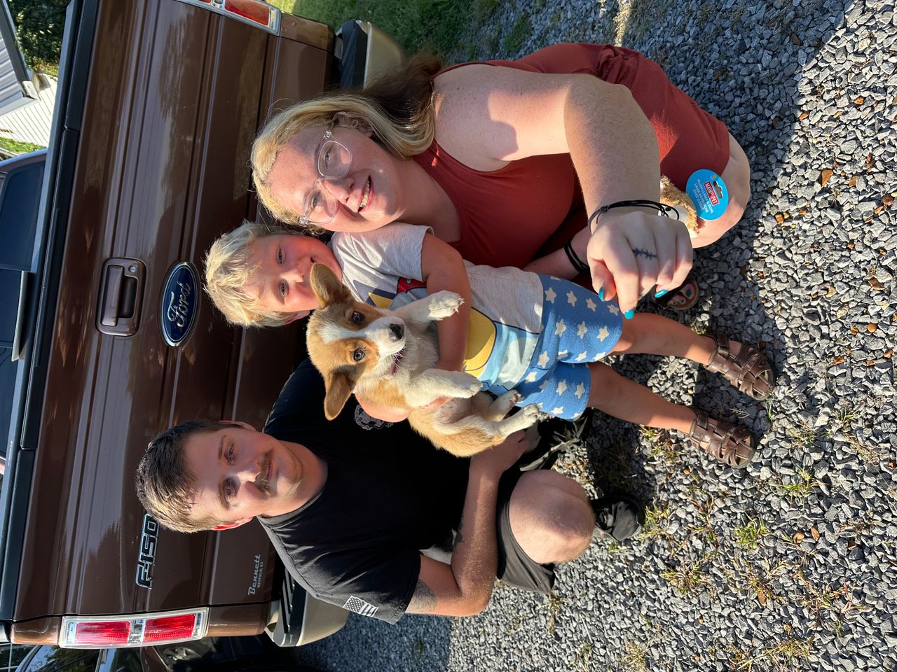 Pet travel photo 1