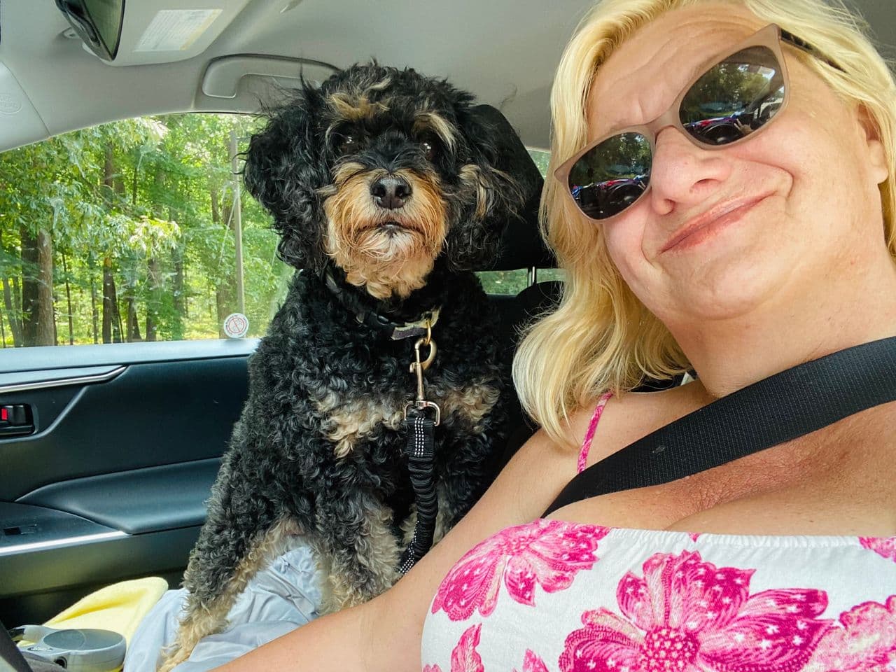 Pet travel photo 1