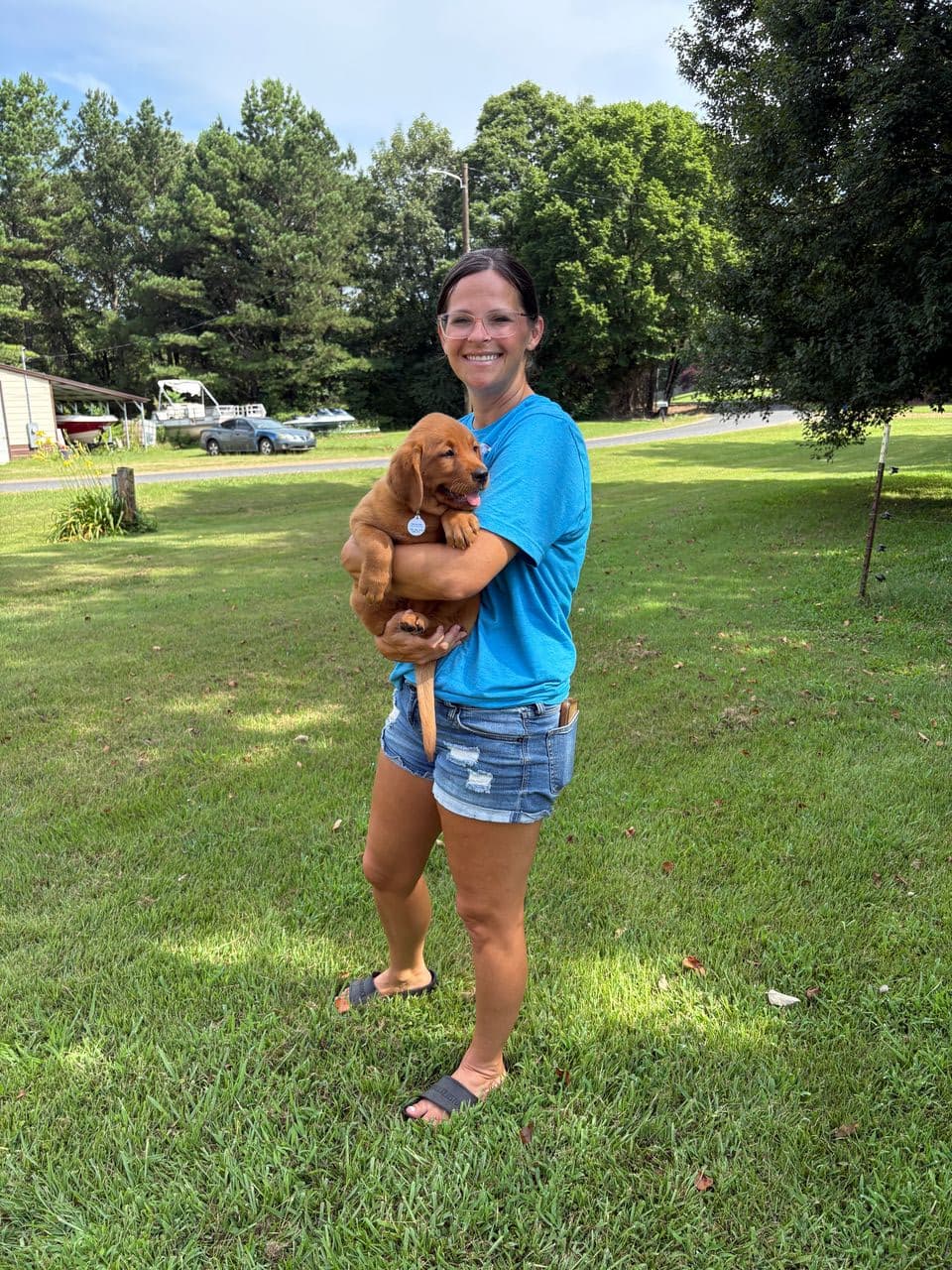 Pet travel photo 1