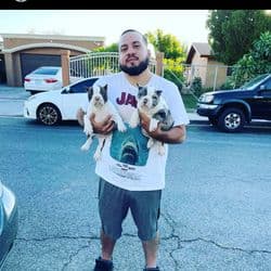 Paws and Pals Pet Transportation