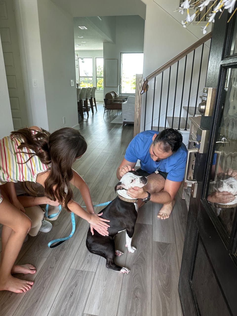 Pet travel photo 2
