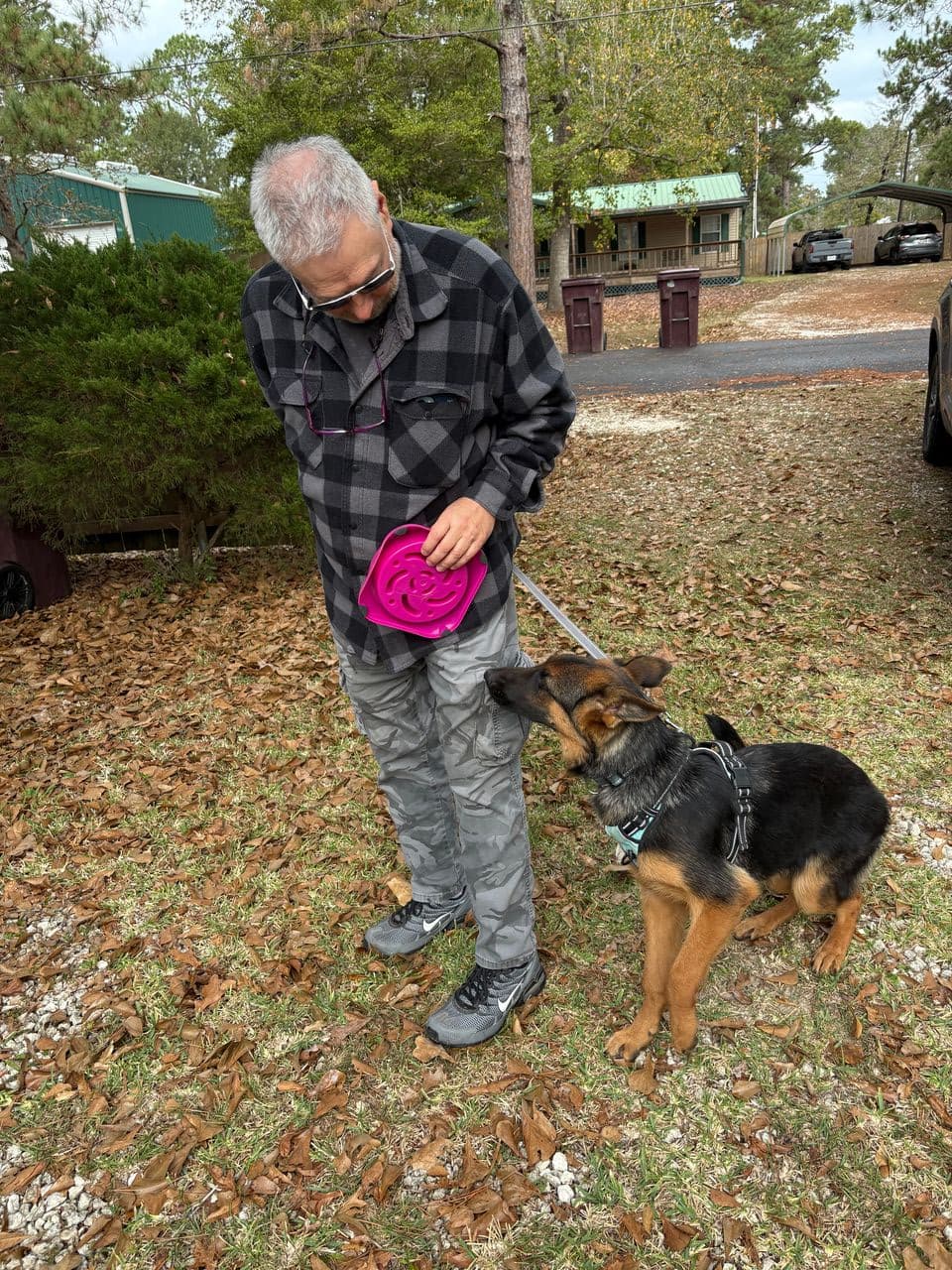 Pet travel photo 2