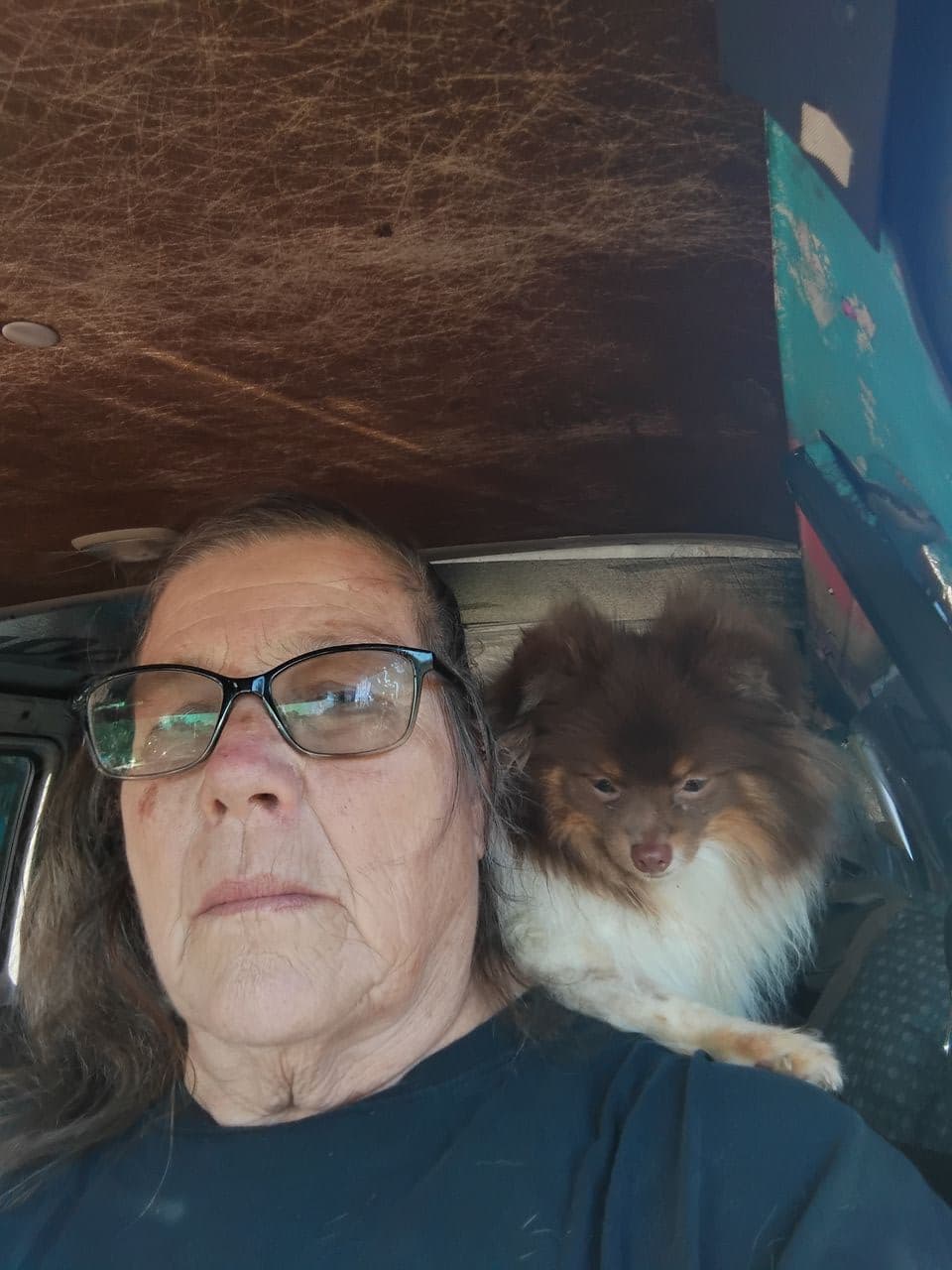Pet travel photo 5