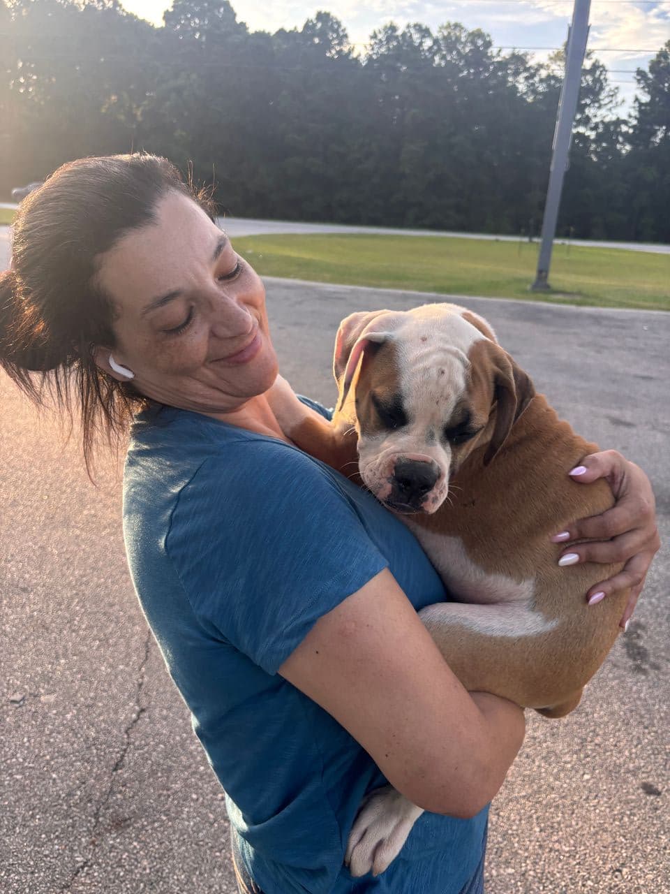 Pet travel photo 4