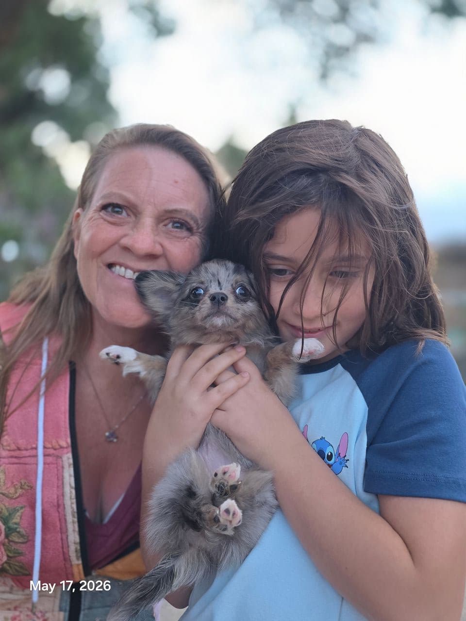 Pet travel photo 1