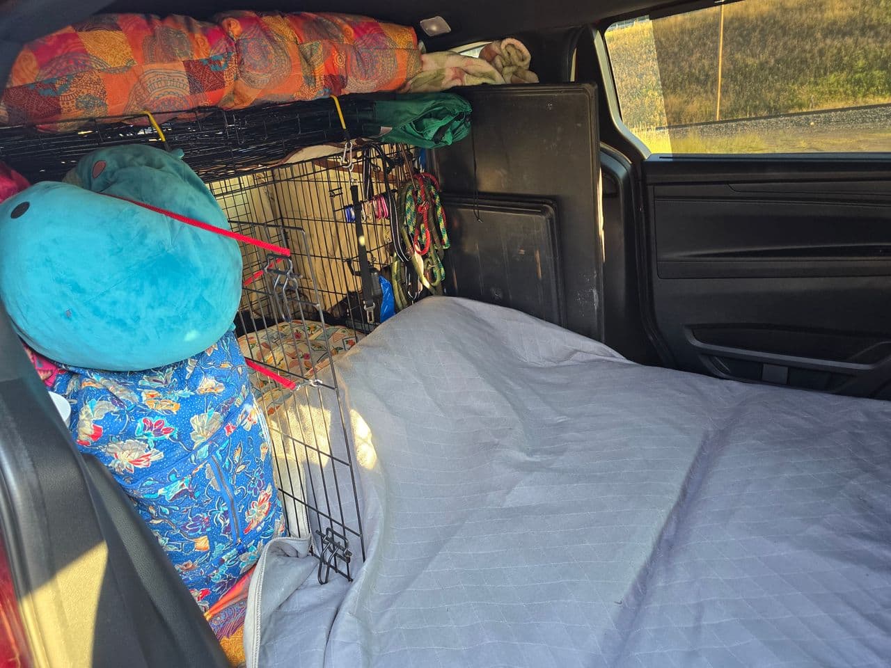 Pet travel photo 2
