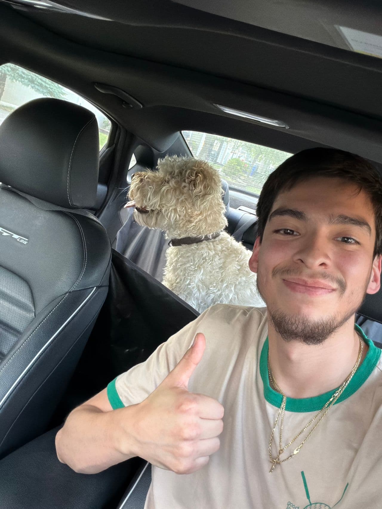 Pet travel photo 1